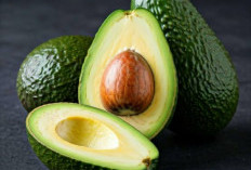 Terdapat 20 Jenis Vitamin, Ini Manfaat Utama Buah Alpukat untuk Kesehatan Tubuh 