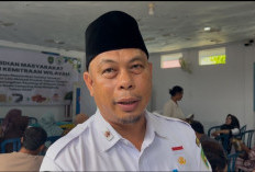 Tekan Volume Sampah dan Cegah Stunting, DLH Kota Bengkulu Kembangkan Budidaya Maggot