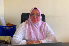 Musim Kemarau Mengancam, Petani Bengkulu Selatan Beralih Tanam Jagung dan Hortikultura