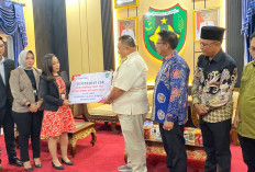 Sinergi Pemda dan Bank Sinarmas, Jembatan Air Manna Duayu Kini Dilengkapi Lampu Jalan