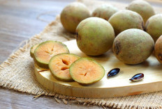 Konsumsi Buah Sawo dengan Rutin Bisa Hasilkan Segudang  Manfaat Kesehatan, Cek Disini!
