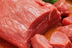 Kaya Zat Besi dan Nutrisi, 7 Makanan yang Dapat Membantu Mengatasi Anemia
