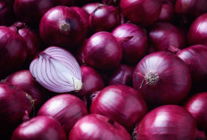Dikenal Sebagai Tanaman Tertua, Ini Fakta Unik yang Dimiliki Bawang Merah
