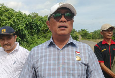 Kabar Baik! Fiber Optik Masuk, 2 Desa di Seluma Segera Nikmati Sinyal dan Internet Stabil