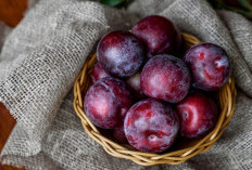 Ini Ragam Jenis Buah Plum dengan Karakteristiknya yang Menarik, Ada Japanese hingga Satsumsa