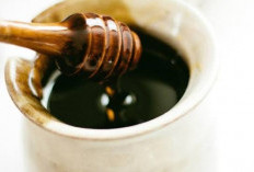 Taukah Kamu? Konsumsi Madu Hitam Bagus untuk Jaga Kesehatan Tubuh, Cek Disini Manfaatnya!