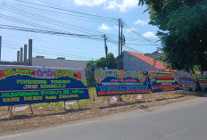 Geliatkan Pengusaha Lokal, Ratusan Papan Bunga Padati Lokasi Pelantikan JMSI Bengkulu 2025-2030