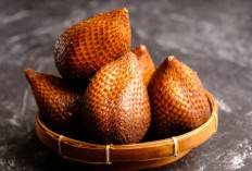 Konsumsi Buah Salak Dipercaya Bisa Tingkatkan Daya Ingat, Cek Manfaat Lengkapnya Disini!
