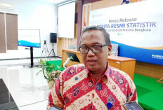 Ekspor Batu Bara Lumpuh, Surplus Perdagangan Bengkulu Januari 2026 Anjlok Drastis 94 Persen