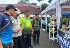 Sinergi 80 Tahun Korem 041/Gamas: Rayakan HUT dengan Jalan Sehat dan Bazar UMKM Meriah