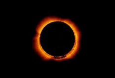 Jangan Asal Lihat! Kenali Bahaya dan Cara Aman Menikmati Fenomena Gerhana Matahari Cincin