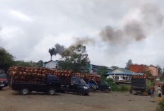Baru PT MSS yang Lapor, Pemkab Seluma Sentil 16 Perusahaan yang Belum Salurkan Transparansi CSR