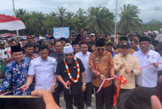 Penantian Bertahun-tahun Usai, Gubernur Helmi Hasan Resmikan Jembatan Matan Senilai Rp16 Miliar