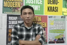 Walhi Kecam Aksi Masyarakat yang Tebang Pohon Cemara di Pantai Panjang