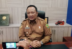Sumbangan Kolektif ASN dan Pejabat, Pemkot Bengkulu Berhasil Himpun 71 Ekor Sapi Kurban