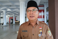 Program 1 Desa 1 Ambulans Bengkulu 2026, Dinkes Siapkan Unit Canggih Ber-GPS