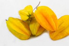 Cek Disini 7 Fakta Menarik Buah Belimbing yang Jarang Diketahui!