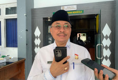 Tim Penegakkan Disiplin ASN Pemprov Bengkulu Masih Proses Video 'Segar Sayang' Oknum Pejabat 