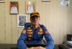 Satpol PP Bengkulu Selatan Intensif Tertibkan Ternak Liar, Keselamatan Pengendara Jadi Prioritas