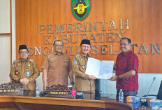BPK Turun Periksa Pemkab Bengkulu Selatan, OPD Diminta Siapkan Data