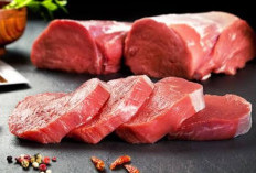 Anti Penasaran! Ini 6 Daftar Makanan Bikin Diet Jadi Lancar 