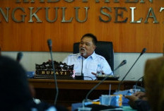 Kejar Target Pajak Rp20 Miliar, Bupati Rifai Wajibkan Kendaraan Perusahaan Pakai Pelat Bengkulu Selatan