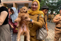 Peringati Hari Rabies Sedunia, Warga Bengkulu yang Memiliki Hewan Peliharaan Bisa Vaksinasi Gratis