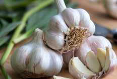 Dapat Menjaga Kesehatan Jantung, Ini Manfaat Bawang Putih bagi Tubuh, Kamu Perlu Tahu