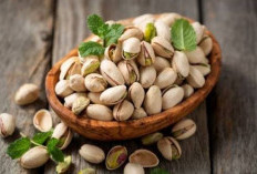 Kacang Pistachio Tawarkan Sederet Manfaat Tersembunyi untuk Kesehatan Tubuh, Apa Saja Ya?