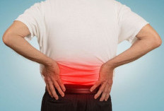 Penderita Osteoarthritis Wajib Tahu! Ini 7 Obat Herbal yang Direkomendasikan Baik untuk Mengatasi