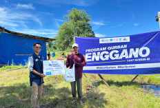 HIVE Bengkulu Sebar 7 Hewan Kurban di Pulau Enggano, Sasar Warga Daerah Terpencil