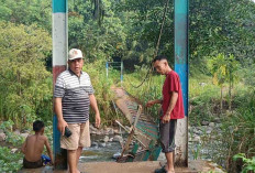 Jembatan Gantung Desa Rindu Hati Ambruk, Akses ke Ratusan Hektare Sawah dan Kebun Terputus