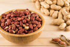 Penderita Asam Urat Dilarang untuk Konsumsi Kacang Tanah, Cek Kelompok Lainnya Disini!