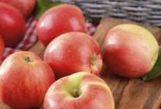 Ini 7 Buah yang Bagus untuk Paru-Paru, Kaya Antioksidan dan Vitamin