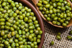 Cek Manfaat Kacang Hijau bagi Kesehatan, Bisa Bantu Melancarkan Pencernaan