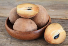 Inilah 5 Manfaat Mengonsumsi Buah Sawo Secara Rutin, Jaga Kesehatan Tubuh Ya! 