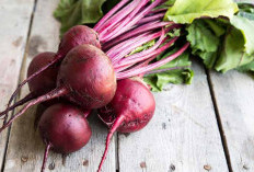 Cek Sekarang! Kandungan Nutrisi dan Manfaat Buah Bit untuk Kesehatan Tubuh