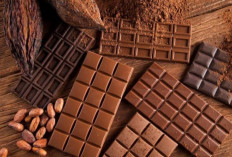 Yuk Kenali Fakta Menarik Tentang Cokelat, Bisa Tingkatkan Mood Loh
