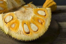 Miliki Aroma yang Menggoda, Inilah Segudang Manfaat Buah Nangka untuk Kesehatan 