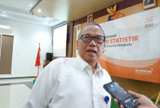 Kunjungan Wisatawan Domestik ke Bengkulu Menurun, Okupansi Hotel Berbintang Malah Naik