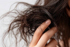 Lembut dan Mudah Diatur, Cara Mengatasi Rambut Kering dan Mengembang