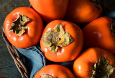 Miliki Asal dari Tiongkok dengan Ketinggian 70 Kaki, Inilah Fakta Unik yang Tersimpan dalam Buah Kesemek 