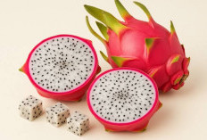 5 Manfaat Konsumsi Buah Naga untuk Kesehatan Tubuh, Salah Satunya Ampuh Atasi Sembelit 