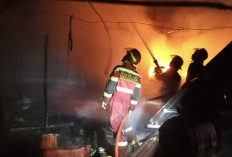 Kebakaran di Tanah Patah Hanguskan Rumah dan 4 Motor, Pemilik yang Menderita Stroke Nyaris Terpanggang