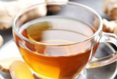 Perlu Tahu, Rekomendasi Minuman Herbal untuk Kesehatan Tubuh, Enak dan Cocok Dikonsumsi Sehari-hari