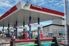 Pertamina Lakukan Penurunan Sejumlah BBM Non Subsidi Termasuk di Bengkulu, Berikut Rinciannya 