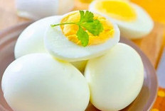 Cek di Sini! Makanan yang Baik untuk Membentuk Otot, Cocok untuk Menu Sehari-hari