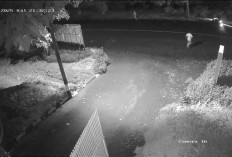 Satpam Kejari Kepahiang Gagalkan Aksi Begal di Komplek Perkantoran 