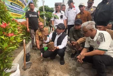 Hijaukan Jalan Merapi, Pemkot Bengkulu Tanam Ratusan Pohon Alpukat dan Serahkan Kotak Sampah