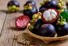 Suka Makan Buah Manggis? Yuk, Cek Manfaatnya untuk Kesehatan Tubuh Anda!